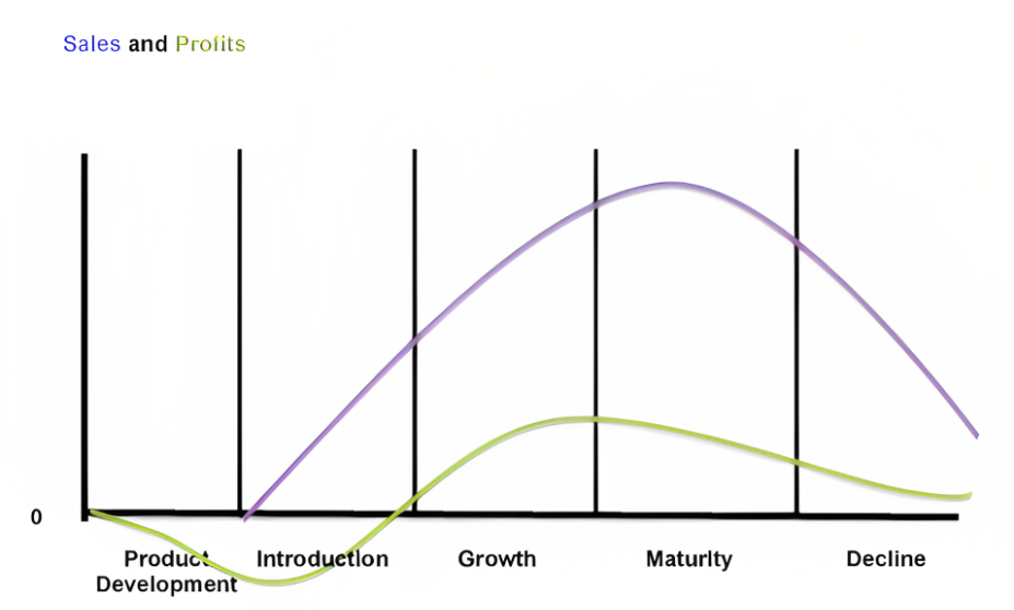 Startup Growth Strategies