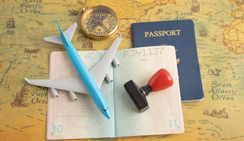 Immigration SEO Services
