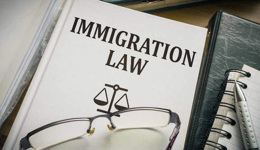 Immigration law SEO Services