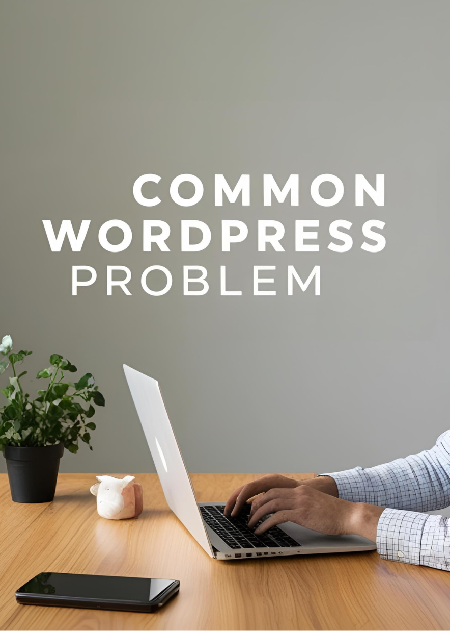 common WordPress problem