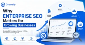 Enterprise SEO business grow
